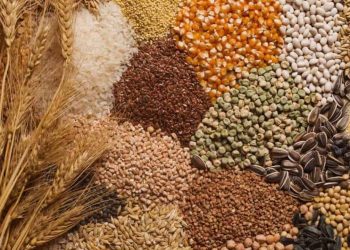 أسعار الأعلاف في أول أيام رمضان.. 1 مارس 2025