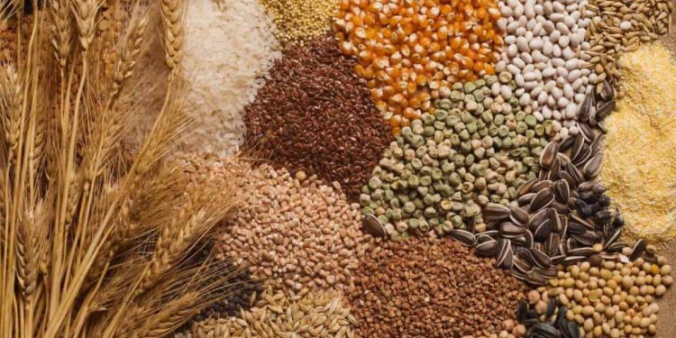 أسعار الأعلاف اليوم  أسعار الأعلاف في أول أيام رمضان.. 1 مارس 2025