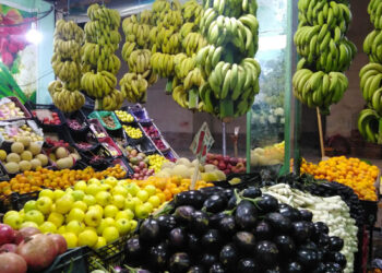 أسعار الخضار والفاكهة اليوم الاثنين