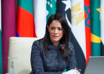 وزيرة التخطيط