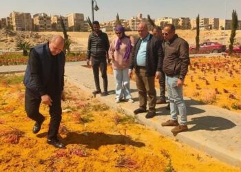 وزير الإسكان: تنفيذ حملات إزالة لمخالفات وتعديات وغلق أنشطة مخالفة بمدن الشيخ زايد وأكتوبر الجديدة وبدر والعاشر