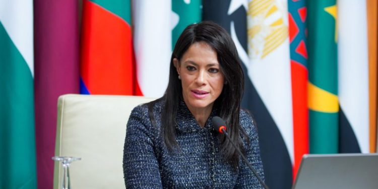 وزيرة التخطيط وزيرة التخطيط