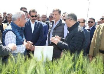 وزير الزراعة ورئيس جهاز مستقبل مصر ومحافظ كفر الشيخ يتفقدون عدد من الأنشطة الزراعية بالمحافظة