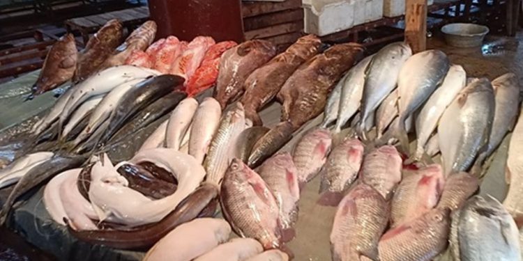 أسعار الأسماك  أسعار الأسماك