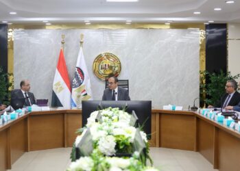 وزير قطاع الأعمال العام