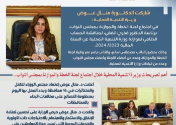 أبرز أنشطة وزارة التنمية المحلية خلال الأسبوع