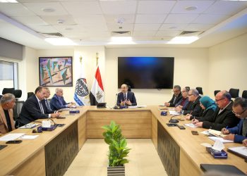 وزير قطاع الأعمال