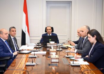 وزير الخارجية والهجرة يعقد اجتماعاً افتراضياً مع سفراء مصر بالخارج