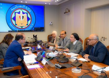 كجوك: دفع جهود الدولة الهادفة لجذب استثمارات أجنبية مباشرة لمصر خاصة فى مجال التحول للاقتصاد الأخضر