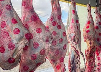 أسعار اللحوم الحمراء اليوم الإثنين