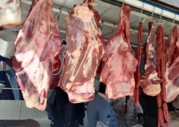 أسعار اللحوم الحمراء اليوم الخميس