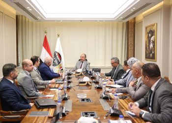 وزير قطاع الأعمال