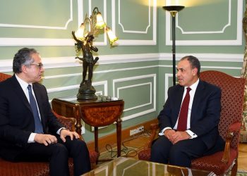 وزير الخارجية يلتقى الدكتور خالد العناني
