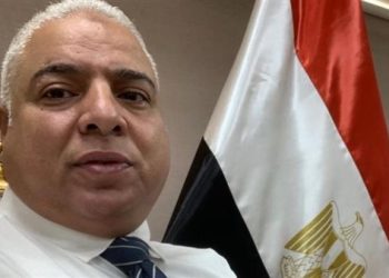 علاء نصر الدين: دعم الصناعة والاستثمار مفتاح لتعزيز تنافسية الاقتصاد المصري