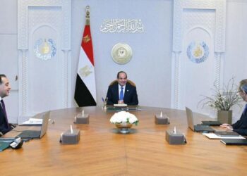 الرئيس السيسى يتابع جهود مبادرة “الرواد الرقميون” لتأهيل وتدريب الشباب