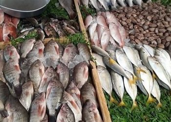 أسعار الأسماك في سوق العبور اليوم الإثنين