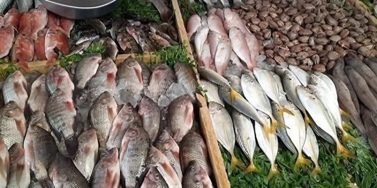 أسعار الأسماك  أسعار الأسماك في سوق العبور اليوم الإثنين