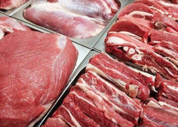 أسعار اللحوم الحمراء اليوم السبت
