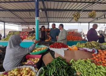 أسعار الخضار والفاكهة اليوم الثلاثاء