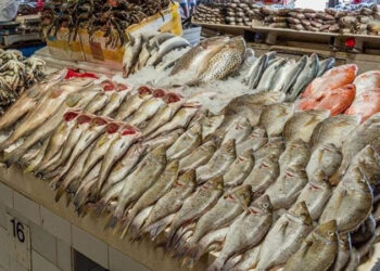 أسعار الأسماك في الأسواق اليوم الثلاثاء