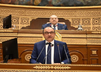 وزير قطاع الأعمال يستعرض استراتيجية عمل الوزارة لتطوير الشركات التابعة وتحقيق الاستدامة أمام الجلسة العامة لمجلس الشيوخ