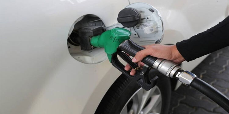 متحدث الحكومة: دعم السولار والبوتجاز مستمر.. ورفع تدريجي لأسعار للمنتجات البترولية