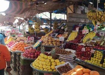 استقرار أسعار الخضروات والفاكهة اليوم السبت 26 أبريل 2025 في سوق العبور