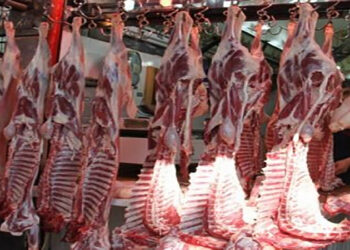 أسعار اللحوم الحمراء اليوم السبت