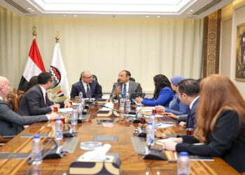 وزير قطاع الأعمال العام يستقبل سفير تركيا بالقاهرة لبحث تعزيز التعاون الاقتصادي والاستثماري