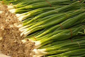 البصل الأخضر بكام .. أسعار الخضراوات والفاكهة قبل شم النسيم