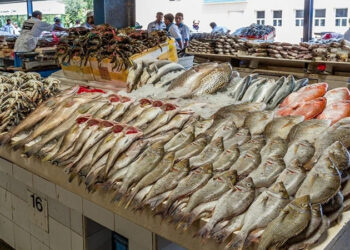 أسعار الأسماك في الأسواق اليوم السبت