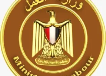 100 وظيفة تعليمية بدولة عربية بعقود لمدة عامين.. وزارة العمل تعلن عن فرص عمل متميزة
