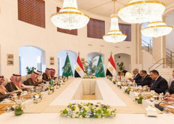 وزير الخارجية يترأس وفد مصر في أعمال لجنة المتابعة والتشاور السياسي مع السعودية بالرياض