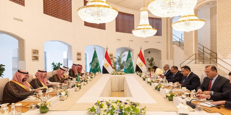 وزير الخارجية يترأس وفد مصر في أعمال لجنة المتابعة والتشاور السياسي مع السعودية بالرياض