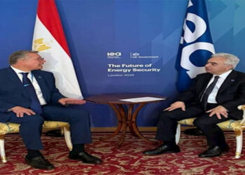 وزير البترول يبحث مع وكالة الطاقة الدولية تنفيذ مشروعات لخفض الكربون