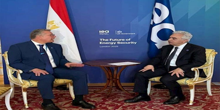 وزير البترول يبحث مع وكالة الطاقة الدولية تنفيذ مشروعات لخفض الكربون