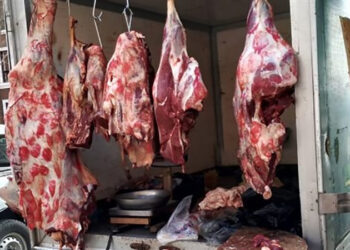 أسعار اللحوم الحمراء اليوم الأحد