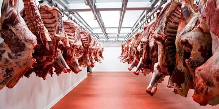 أسعار اللحوم الحمراء اليوم الأربعاء