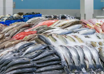 أسعار الأسماك في الأسواق اليوم الأربعاء