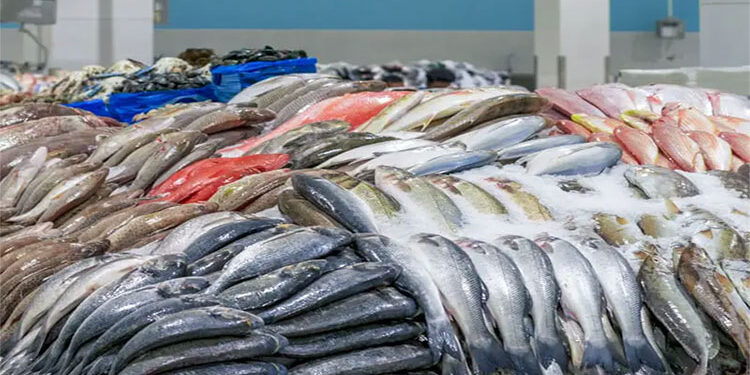 أسعار الأسماك في الأسواق اليوم الأربعاء