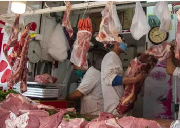 أسعار اللحوم الحمراء اليوم السبت