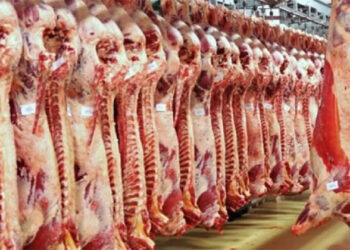 أسعار اللحوم الحمراء اليوم الجمعة