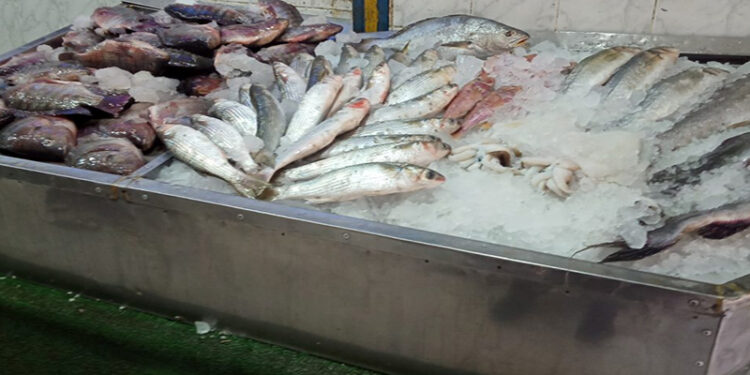 أسعار الأسماك في الأسواق اليوم الأحد