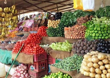 أسعار الخضار والفاكهة اليوم السبت