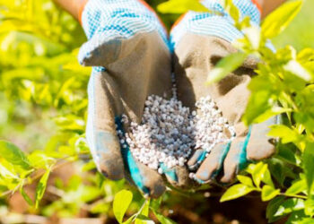 رفع أسعار الأسمدة المدعمة بعد قرار زيادة المحروقات