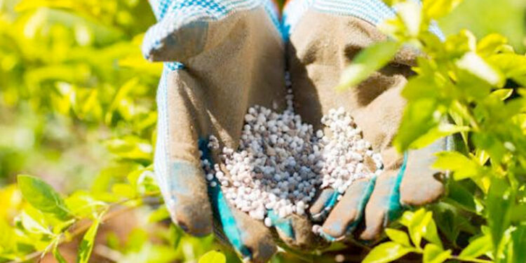 الأسمدة رفع أسعار الأسمدة المدعمة بعد قرار زيادة المحروقات