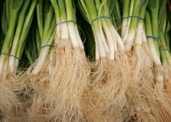 البصل الأخضر بكام؟ .. أسعار الخضراوات والفاكهة قبل شم النسيم