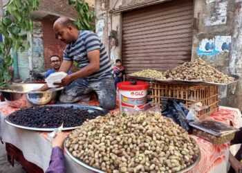 الفقراء يمتنعون..التوت فاكهة الغلابة بـ120 جنيهًا للكيلو