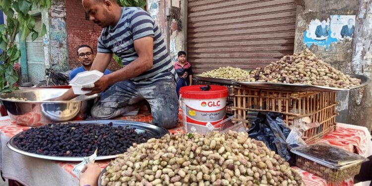 أسعار التوت الفقراء يمتنعون..التوت فاكهة الغلابة بـ120 جنيهًا للكيلو