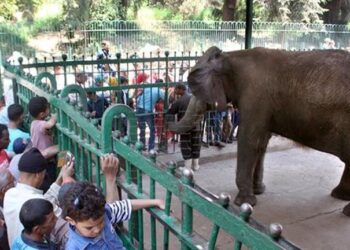 6 حدائق حيوان على مستوي الجمهورية..خروجات شم النسيم 2025